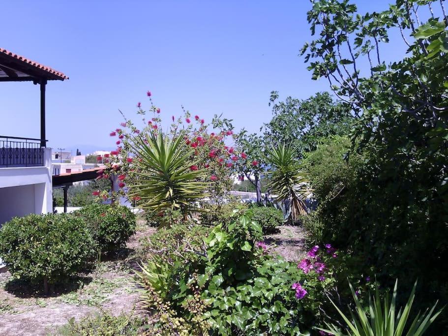 Explore Aegina Island Souvala Exterior photo